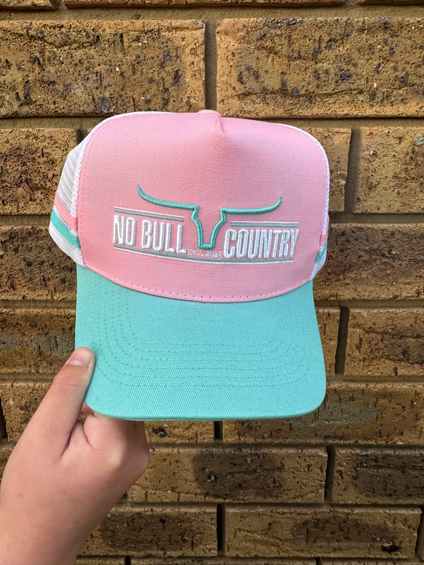 Donovan Trucker Cap Pink & Aqua