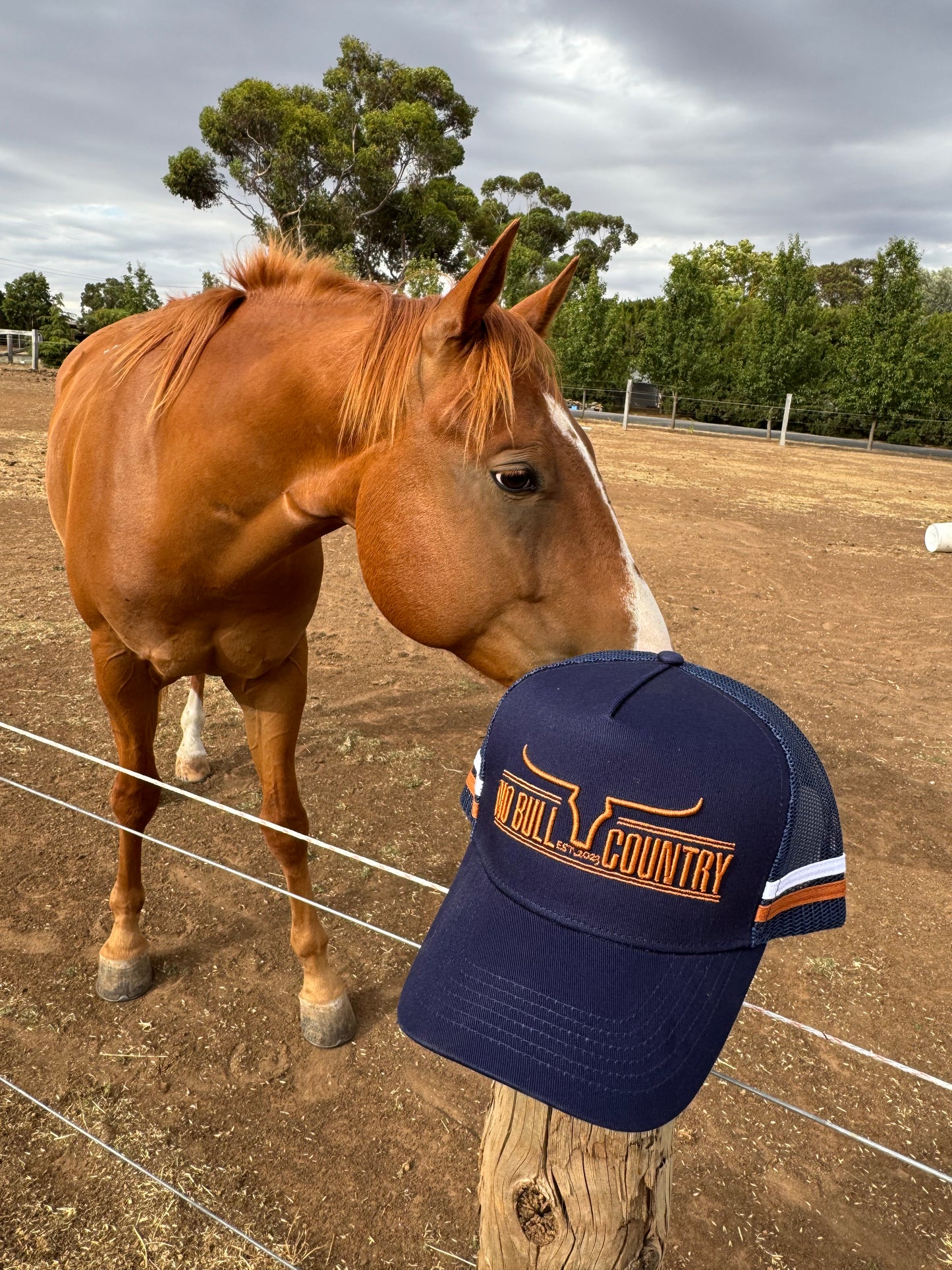 DONOVAN TRUCKER CAP NAVY